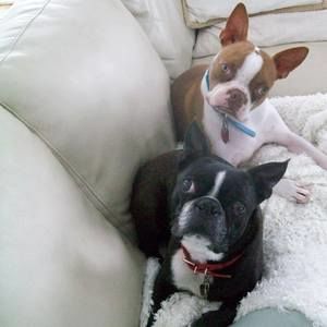 Meet your Posher, Cathy